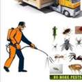 ★☆★STAR★ MOVERS=PACKERS=CLEANERS☆PEST CONTROLTOTAL SOLUTION@ BEST PRICE(056.306.3700)🏡26'