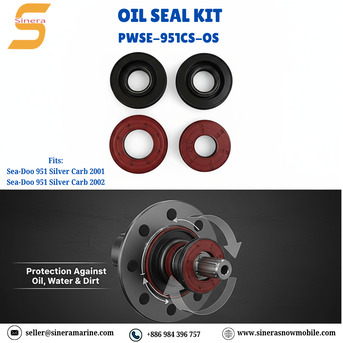 Paris, Boats, Oil Seal Kit PWSE-951CS-OS