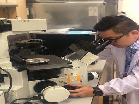 Singapore, Medical, Oxford Cartilage & Sports Centre Pte Ltd