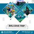 Bali Dive Trip