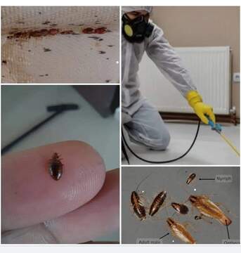 Riyadh, Labor/Moving, @ALL LABOR Pakistani&hearts;MOVERS&hearts;PACKERS TOTAL SOLUTION@BEST RATE{&hearts;+966}53-41-07-809