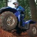 Grizzly 450: The ATV That Beats The Big Engines In Desert Tours