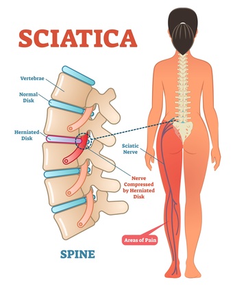 Dubai, Health, Chiropractic Wellness & Posture Support In Dubai