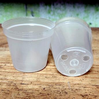 New York, Farm & Garden, USD 14,  Crystal Air Pots: Clear, Durable, And Perfect For Healthy Orchid Growth