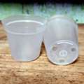 USD 14,  Crystal Air Pots: Clear, Durable, And Perfect For Healthy Orchid Growth