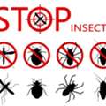*1PEST CONTROL&hearts;️SPRAYS&hearts;️And BED BUGS&hearts;️Solution With Guaranteed&hearts;️0575282420