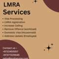 LMRA Services &ndash; Investor, Work Visa Processing & Renewal, Visa Ceiling, Monthly Payments