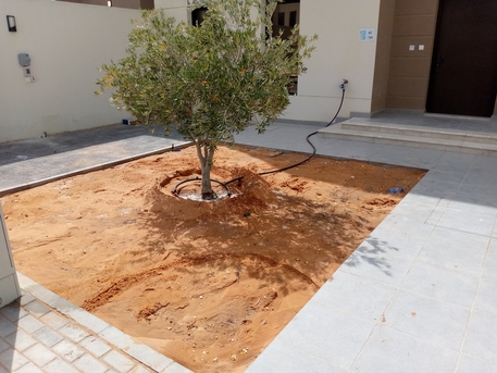 Riyadh, Farm/Garden, Indoor/outdoor Plants, Flowers And Gardening Service Providers