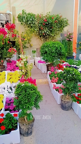 Riyadh, Farm/Garden, Indoor/outdoor Plants, Flowers And Gardening Service Providers