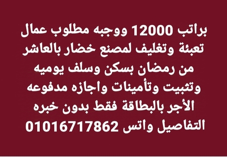 Cairo, Jobs, براتب 12000 مطلوب عمال تعبئة وتغليف لمصنع بالع