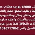 براتب 12000 مطلوب عمال تعبئة وتغليف لمصنع بالع