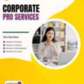 Professional Mandoob Services For Businesses & Individuals
