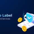 White Label Crypto Card Services: Launch A Payments Platform Without Having To Build