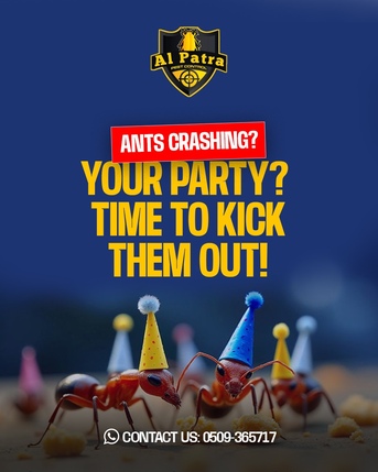 Jeddah, Pest Control, Cockroaches Control Service