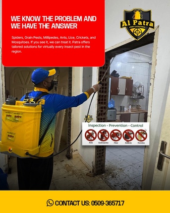 Jeddah, Pest Control, Cockroaches Control Service