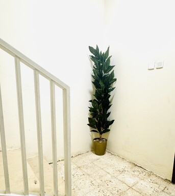 Al Khalij, Rooms Available, SAR 1500/month,  18 Sq. Meter,  ROOMS FOR RENT IN BACHELOR BUILDING