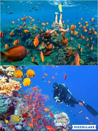 Riyadh, Sporting Goods, SAR 50,  Scuba Diving / Snorkling Gear Set