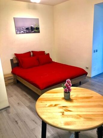 Bucharest, Apartments, Flats, Houses & Villas, EUR 400/month,  Furnished,  Studio,  37 Sq. Meter,  Modern Studio With 30 Sqm Garden &ndash; 37 Sqm Usable Area