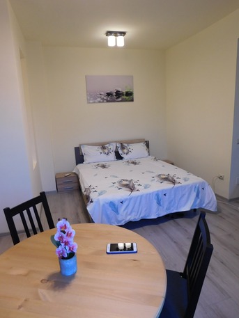Bucharest, Apartments, Flats, Houses & Villas, EUR 400/month,  Furnished,  Studio,  37 Sq. Meter,  Modern Studio With 30 Sqm Garden &ndash; 37 Sqm Usable Area