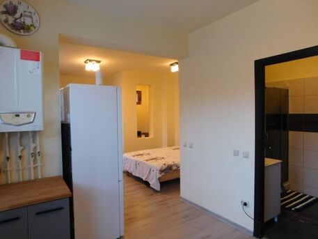 Bucharest, Apartments, Flats, Houses & Villas, EUR 400/month,  Furnished,  Studio,  37 Sq. Meter,  Modern Studio With 30 Sqm Garden &ndash; 37 Sqm Usable Area
