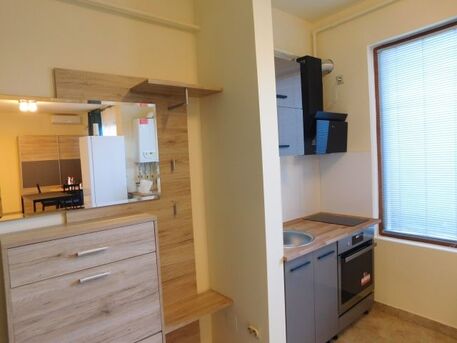 Bucharest, Apartments, Flats, Houses & Villas, EUR 400/month,  Furnished,  Studio,  37 Sq. Meter,  Modern Studio With 30 Sqm Garden &ndash; 37 Sqm Usable Area