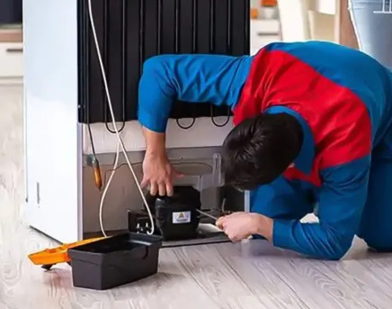 Kuala Lumpur, Appliance Repair, Expert Fridge Repair In Malaysia