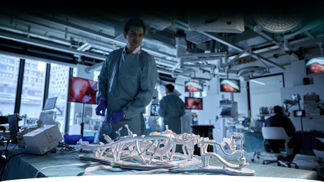 Geneva, Health, Understanding Endovascular Flow Models In Modern Vascular Research