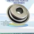 Rotary Seal 420650370