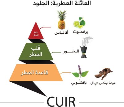 Yanbu, Perfumes & Fragrances, SAR 1,  Almajed Oud - CUIR- Eau De Perfume -150 Ml