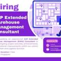 Hiring SAP EWM Consultant In Singapore - Base Camp Recruitment