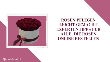 Geneva, Farm & Garden, CHF 5,  Rosen Pflegen Leicht Gemacht &ndash; Expertentipps F?r Alle, Die Rosen Online Bestellen