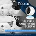 INR 5490,  Noorio Home Security Camera