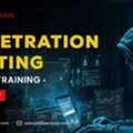 Cybersecurity Penetration Testing Training