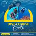 Dive Course Bali