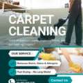 How To Choose An Affordable Carpet Cleaning Company ?