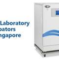 Best Scientific Incubators In Singapore For Research Labs