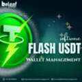 High-Speed USDT Engine For Effortless Wallet Management
