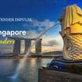 Singapore Tender Bids And Contracts By Tender Impulse