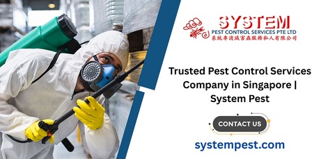Singapore, Business, Trusted Pest Control Services Company In Singapore | System Pest