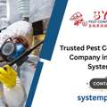 Trusted Pest Control Services Company In Singapore | System Pest