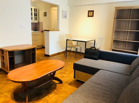 Brussels, Apartments/Houses, EUR 1100/month,  Furnished,  1 BR,  55 Sq. Meter,  1 BR Apartment EU Area (Plasky)