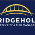 BridgeHold