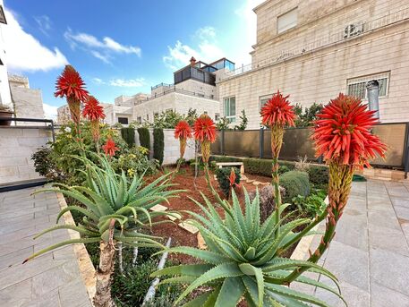 Amman, Apartments/Houses, JOD 13000/year,  Furnished,  2 BR,  100 Sq. Meter,  Ground Floor Apartment For Rent In Al-Swafiyieh