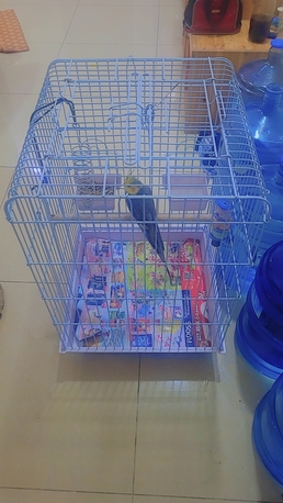 Manama, Baby & Kid Stuff, BD 30,  Cocktail With Cage For Sale 35 Bd Only Location : Tubli