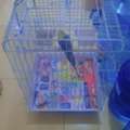 BD 30,  Cocktail With Cage For Sale 35 Bd Only Location : Tubli