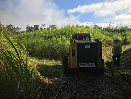 New York, Business, Professional Hawaii Land Clearing Solutions For Any Terrain - Arborist Services