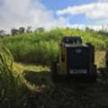 Professional Hawaii Land Clearing Solutions For Any Terrain - Arborist Services