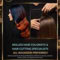 Looking For Professional Hair Cutting & Hair Styling Expert