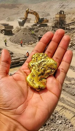 Tokyo, Cargo, LUXOREHOLDINGS