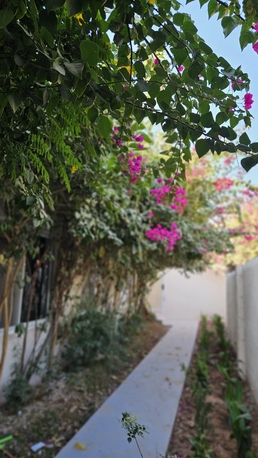 Ad Diriyah, Rooms for Rent, SAR 3500/month,  Furnished,  Bachelor Furnished Apartment - Room